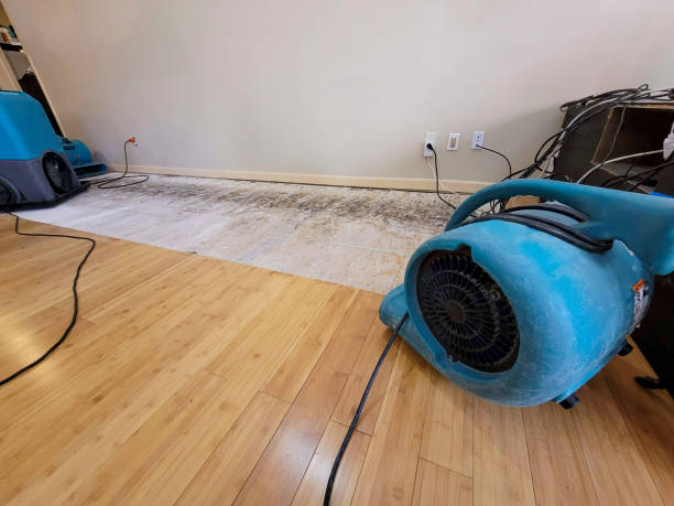 Professional Sewage Cleanup technician working in Humboldt, SD